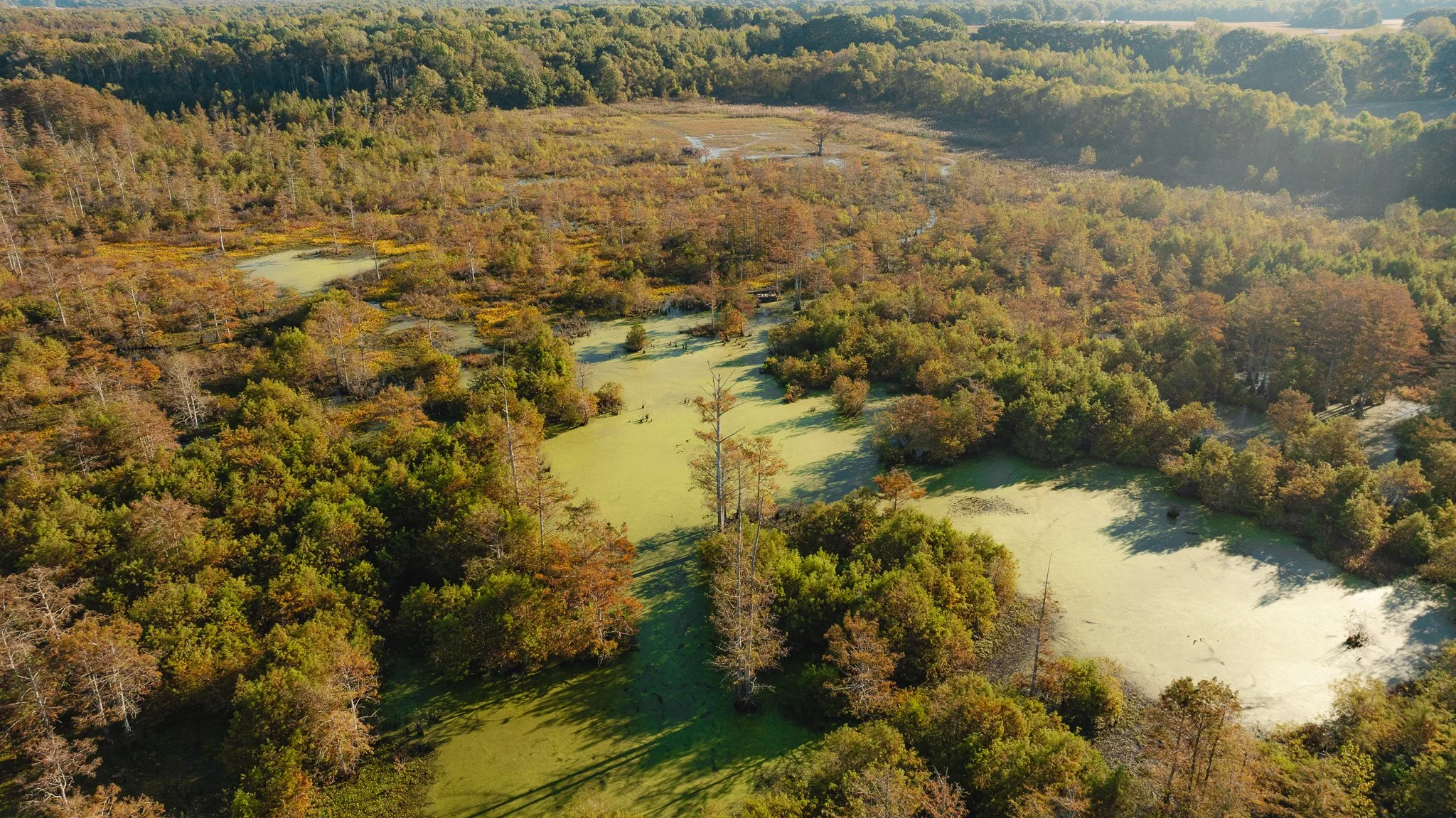 DJI_20261018155127_0021_D.jpg
