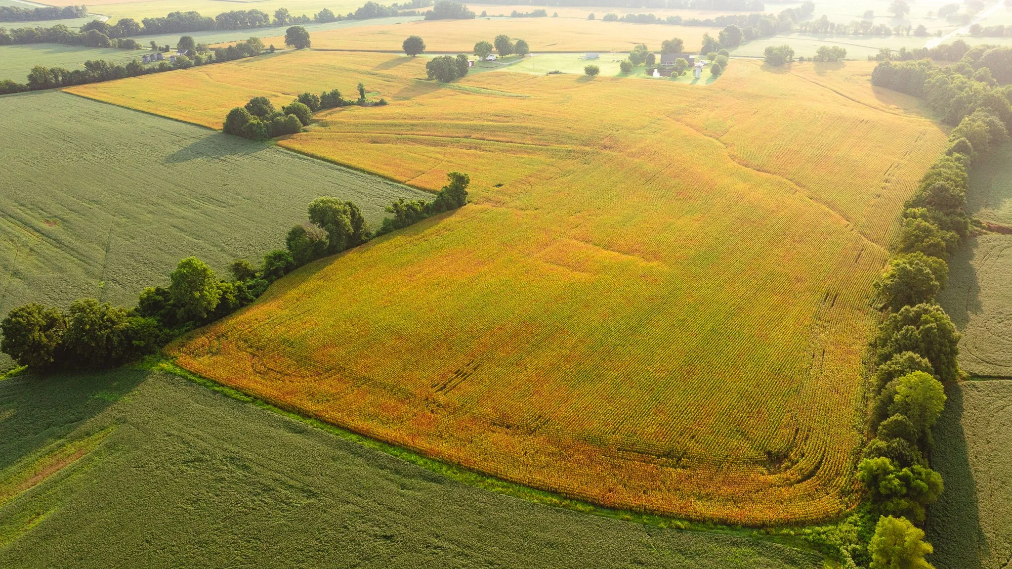 DJI_20260729144335_0069_D.jpg