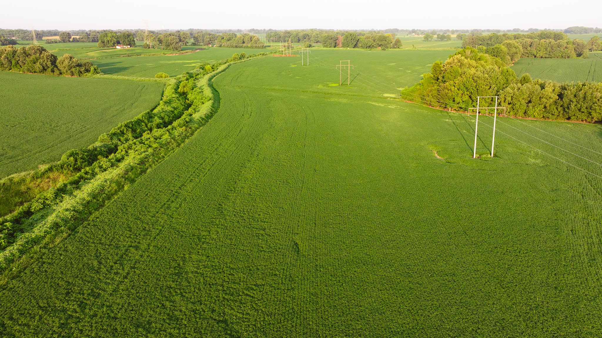 DJI_20260726141950_0081_D.jpg