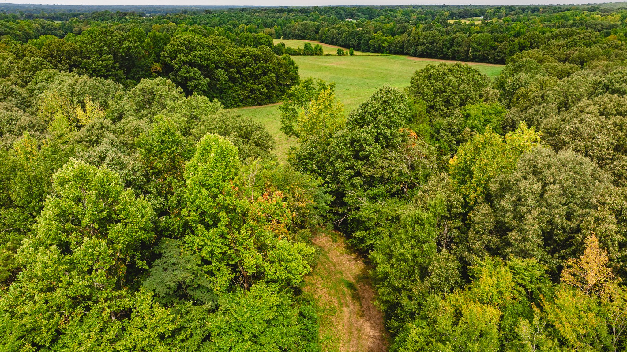 DJI_20260817174323_0067_D.jpg
