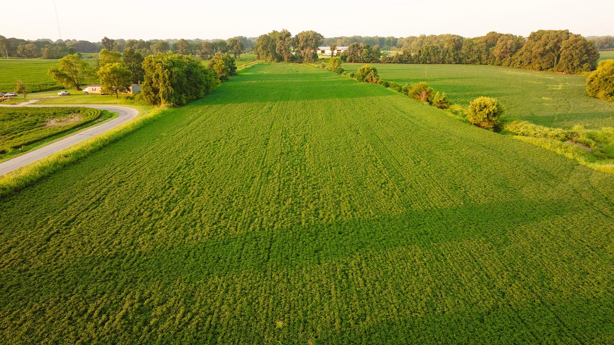 DJI_20260726140005_0037_D.jpg