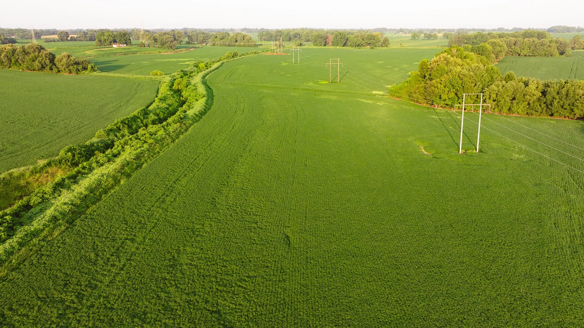 DJI_20260726141950_0081_D.jpg
