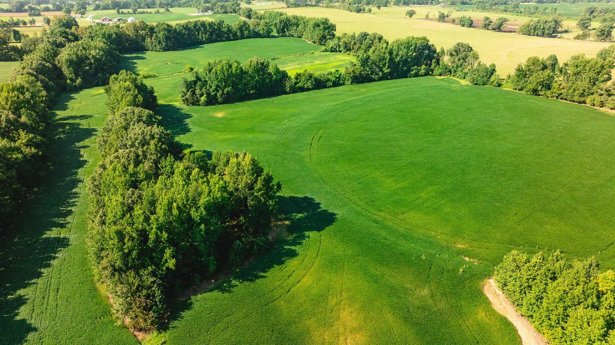 DJI_20260810170549_0095_D.jpg