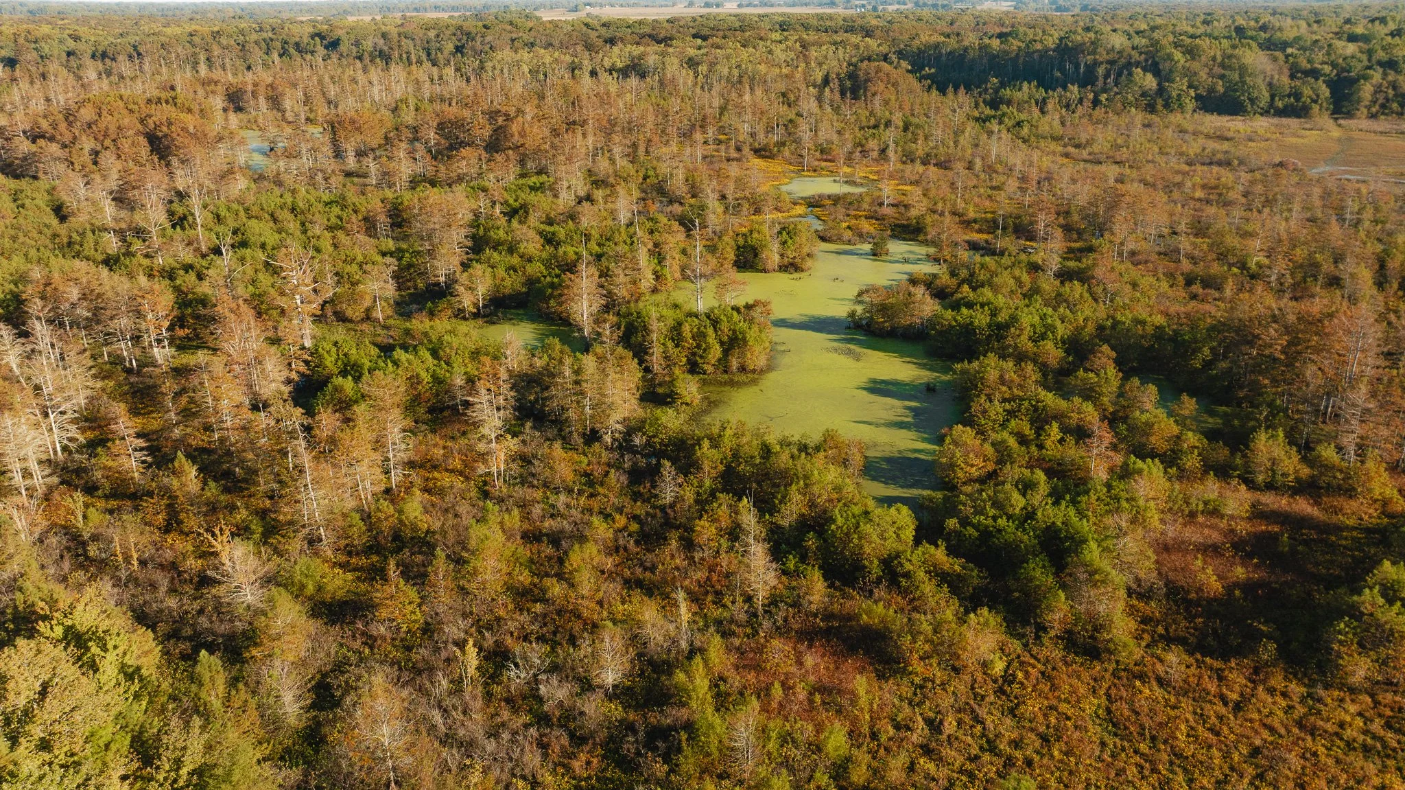 DJI_20261018155056_0020_D.jpg