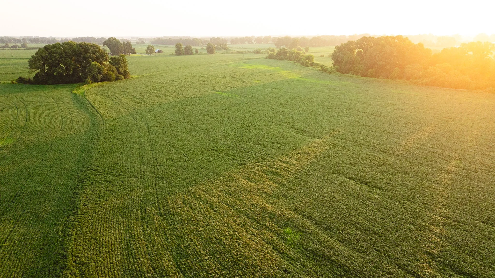 DJI_20260726135403_0023_D.jpg
