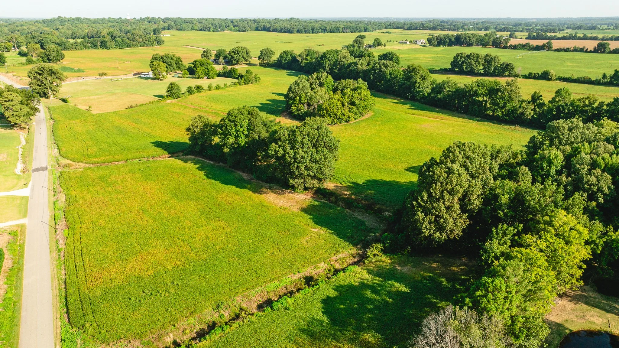 DJI_20260810155446_0038_D.jpg