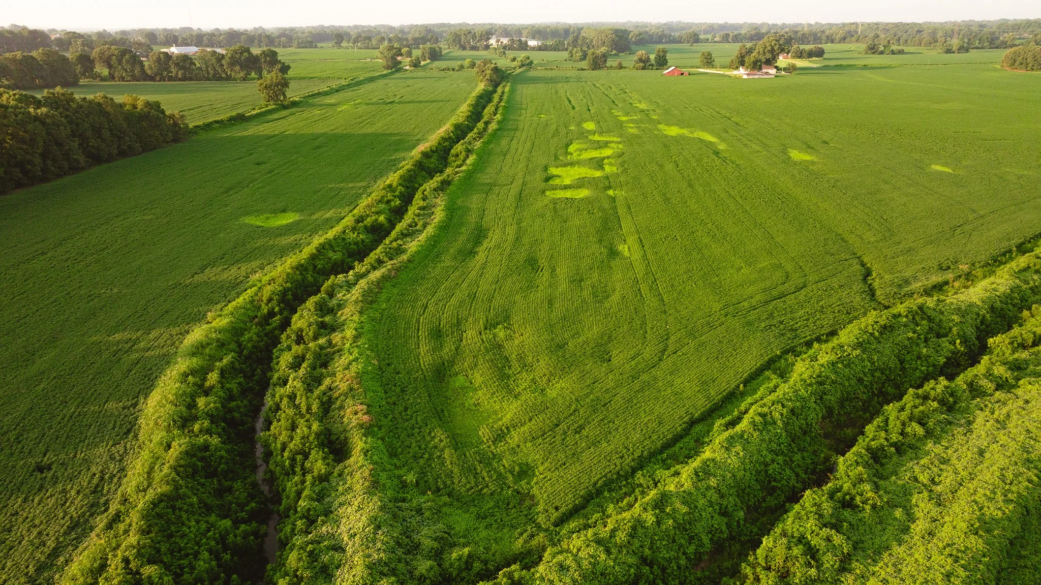 DJI_20260726141825_0074_D.jpg