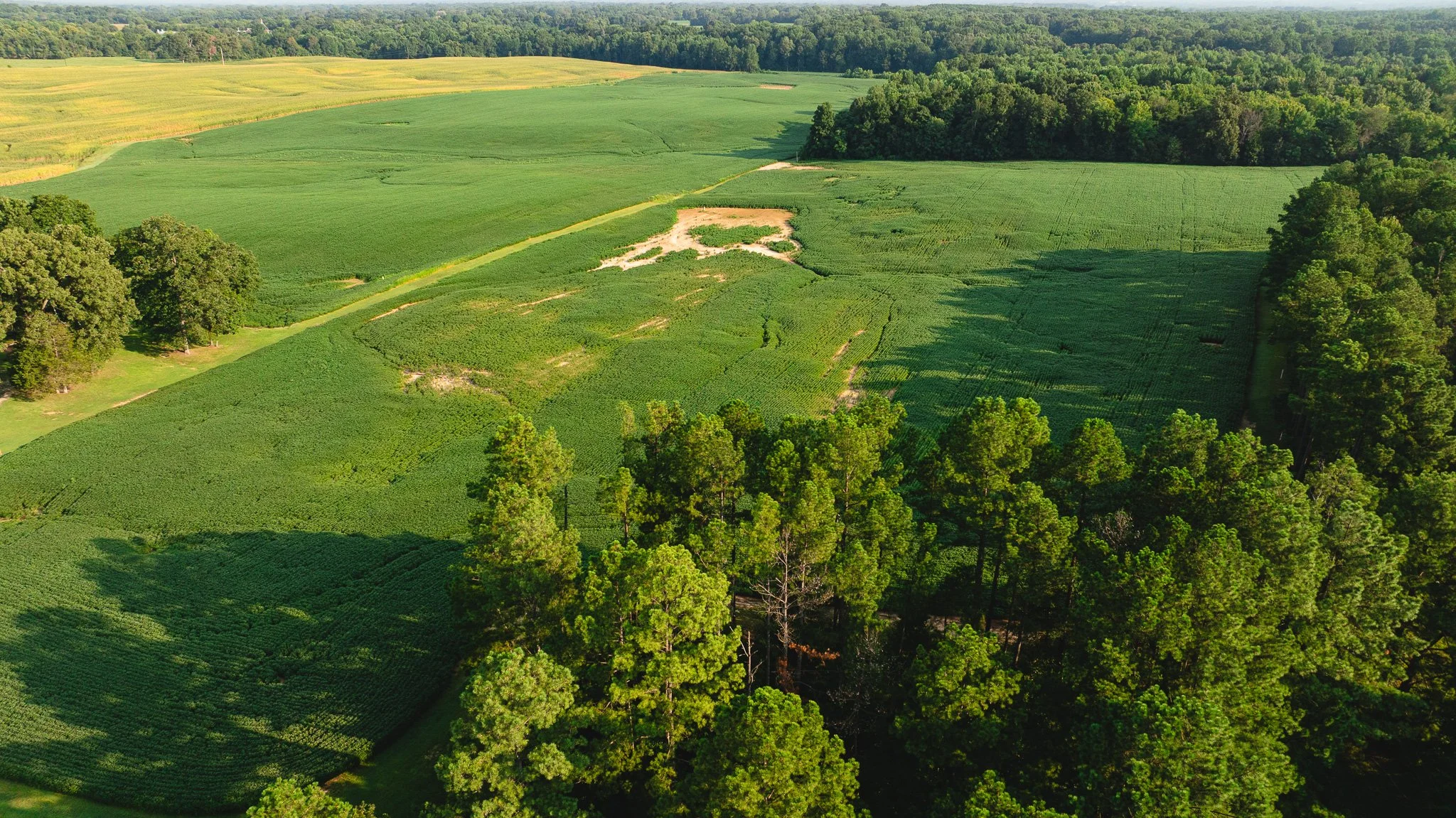 DJI_20260804152113_0069_D.jpg