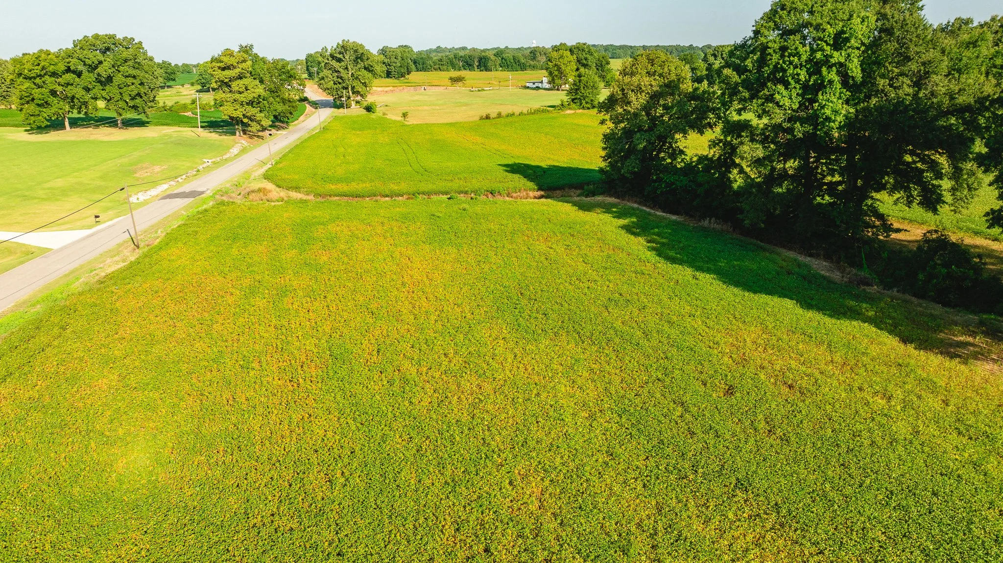 DJI_20260810155505_0039_D.jpg