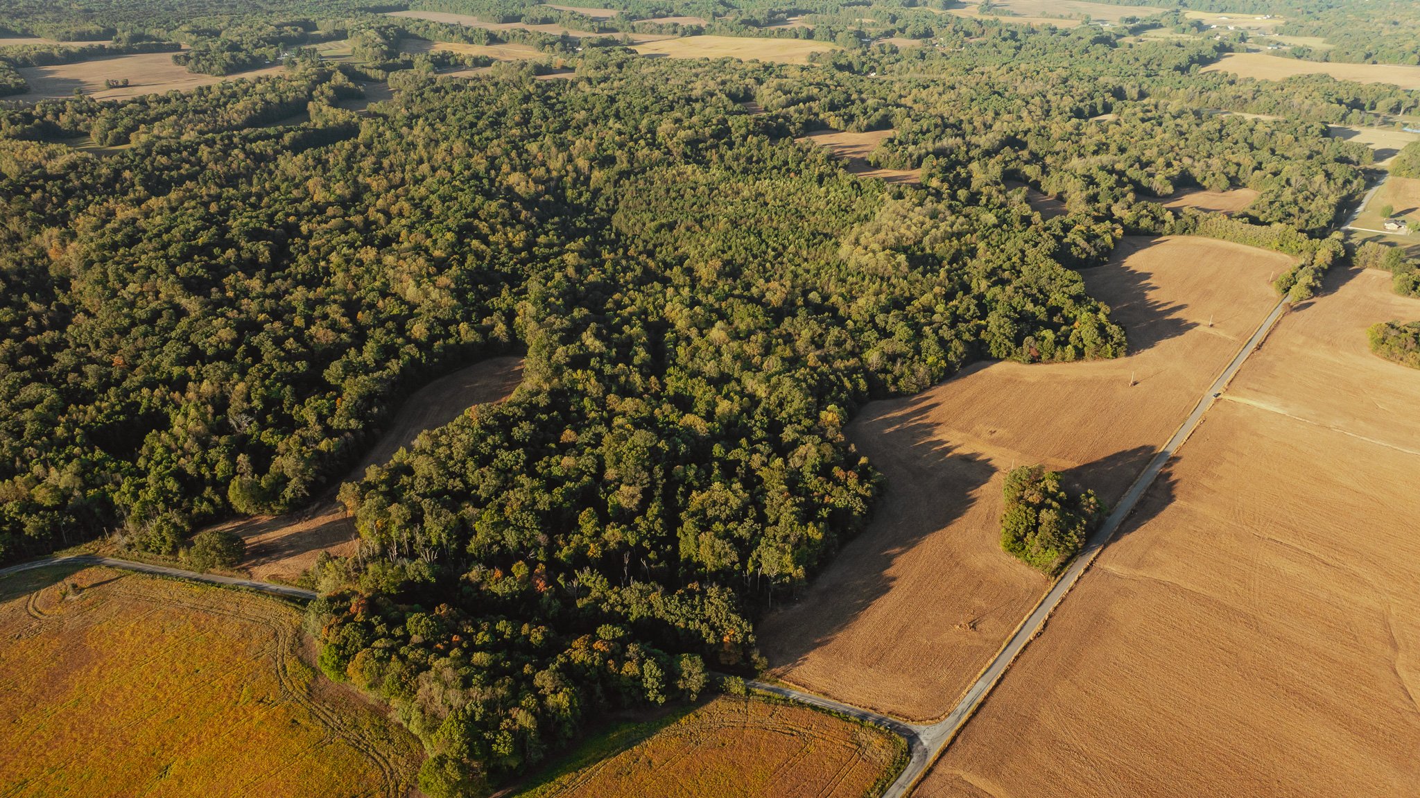 DJI_20261007145919_0004_D.jpg