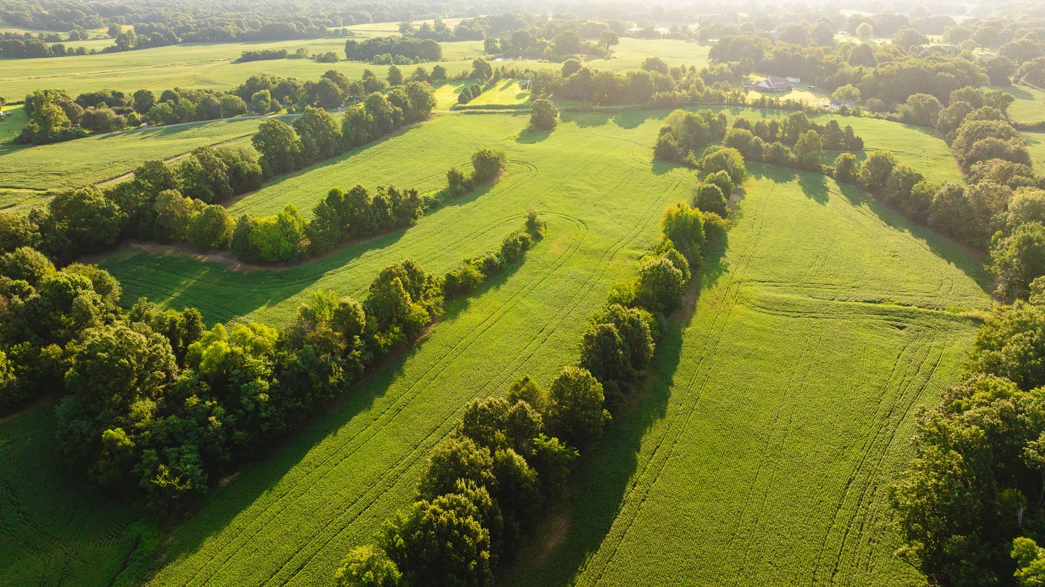 DJI_20260810150445_0017_D.jpg