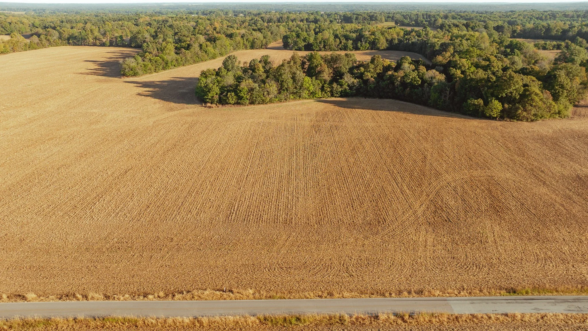 DJI_20261007150840_0022_D.jpg