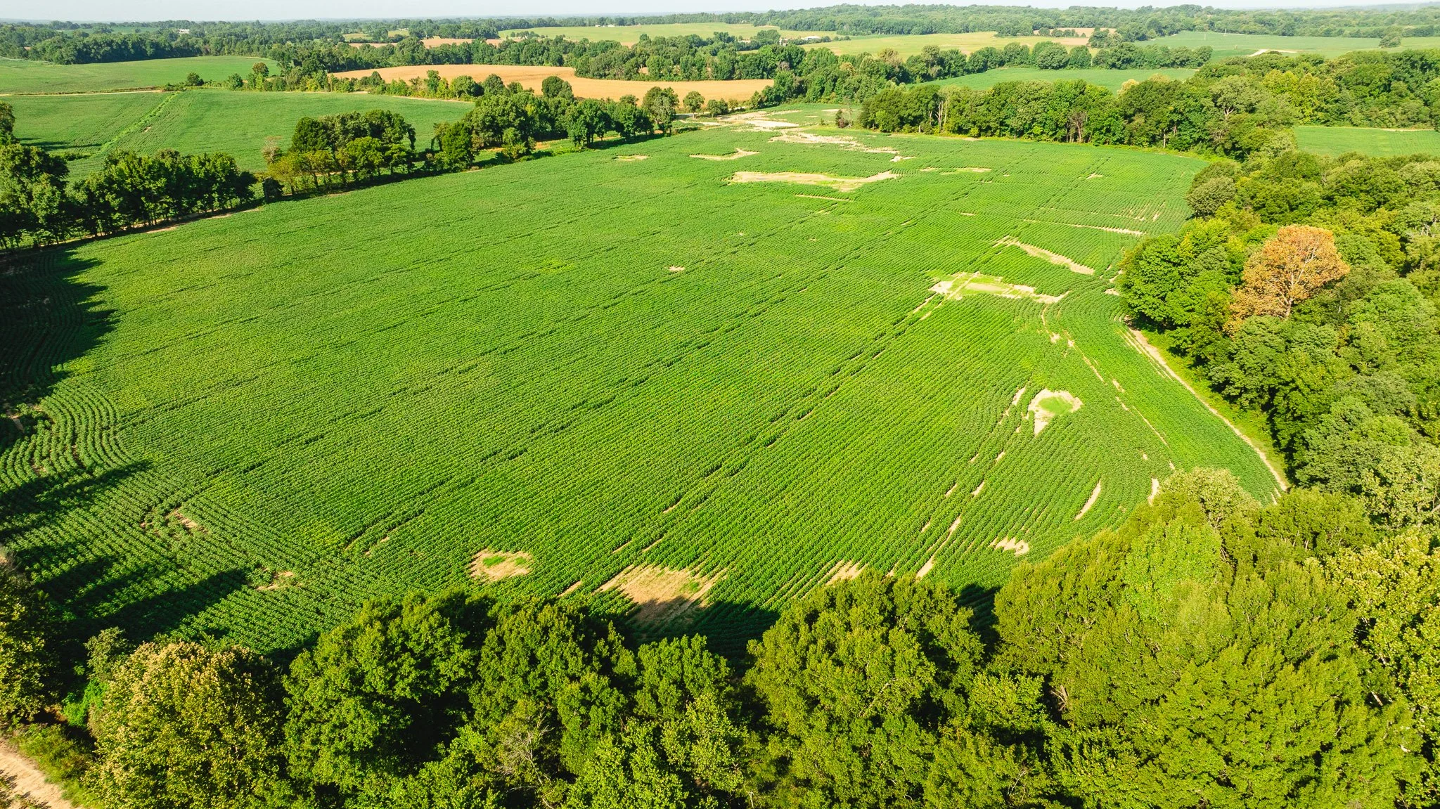 DJI_20260810160821_0052_D.jpg