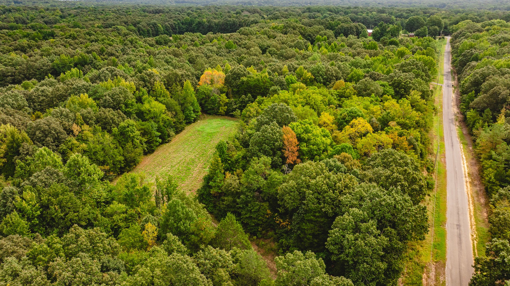 DJI_20260817174300_0065_D.jpg