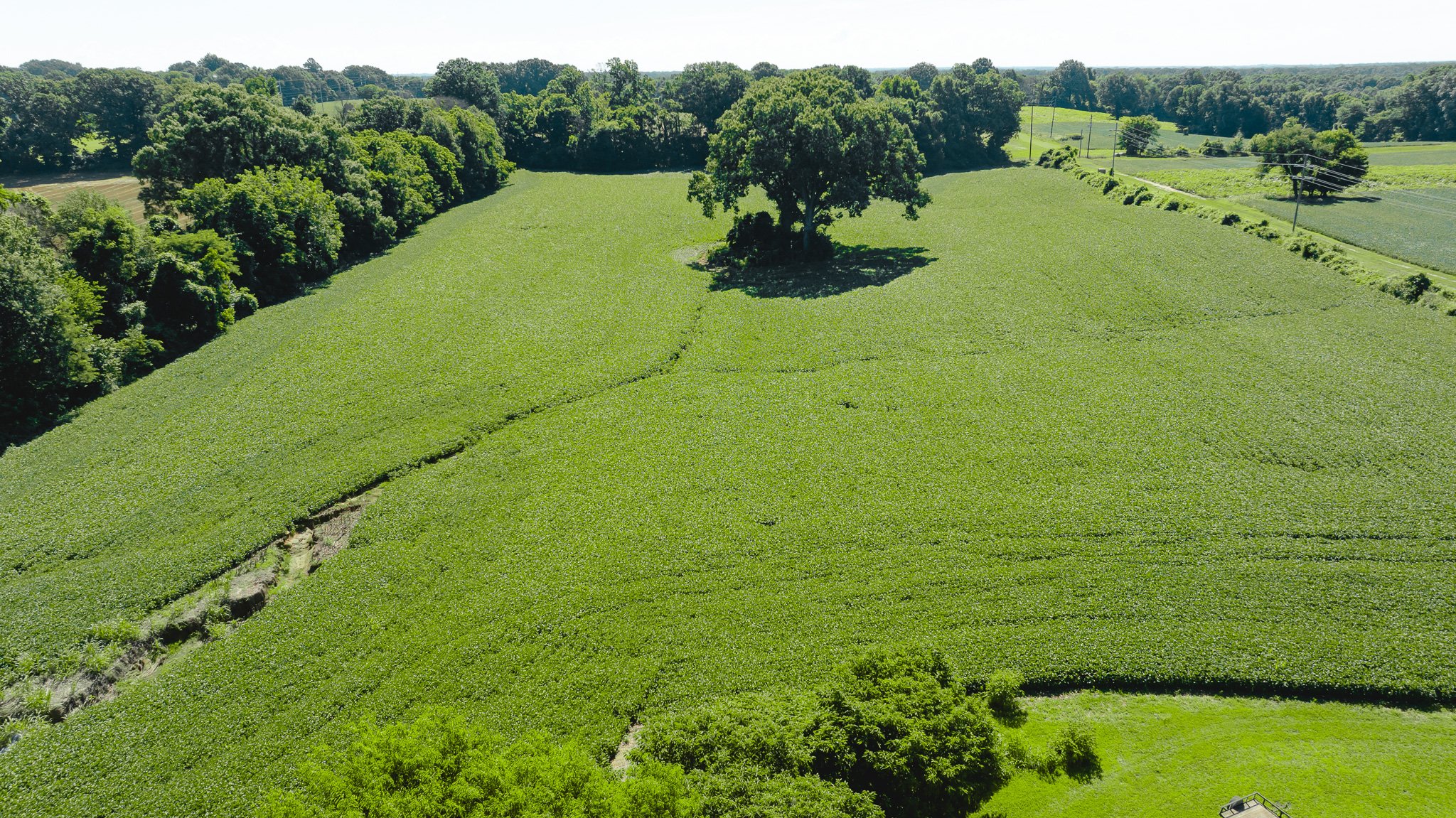 DJI_20260614170334_0015_D.jpg