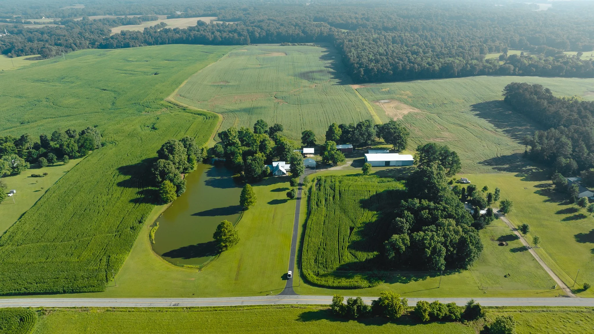 DJI_20260621151229_0010_D.jpg