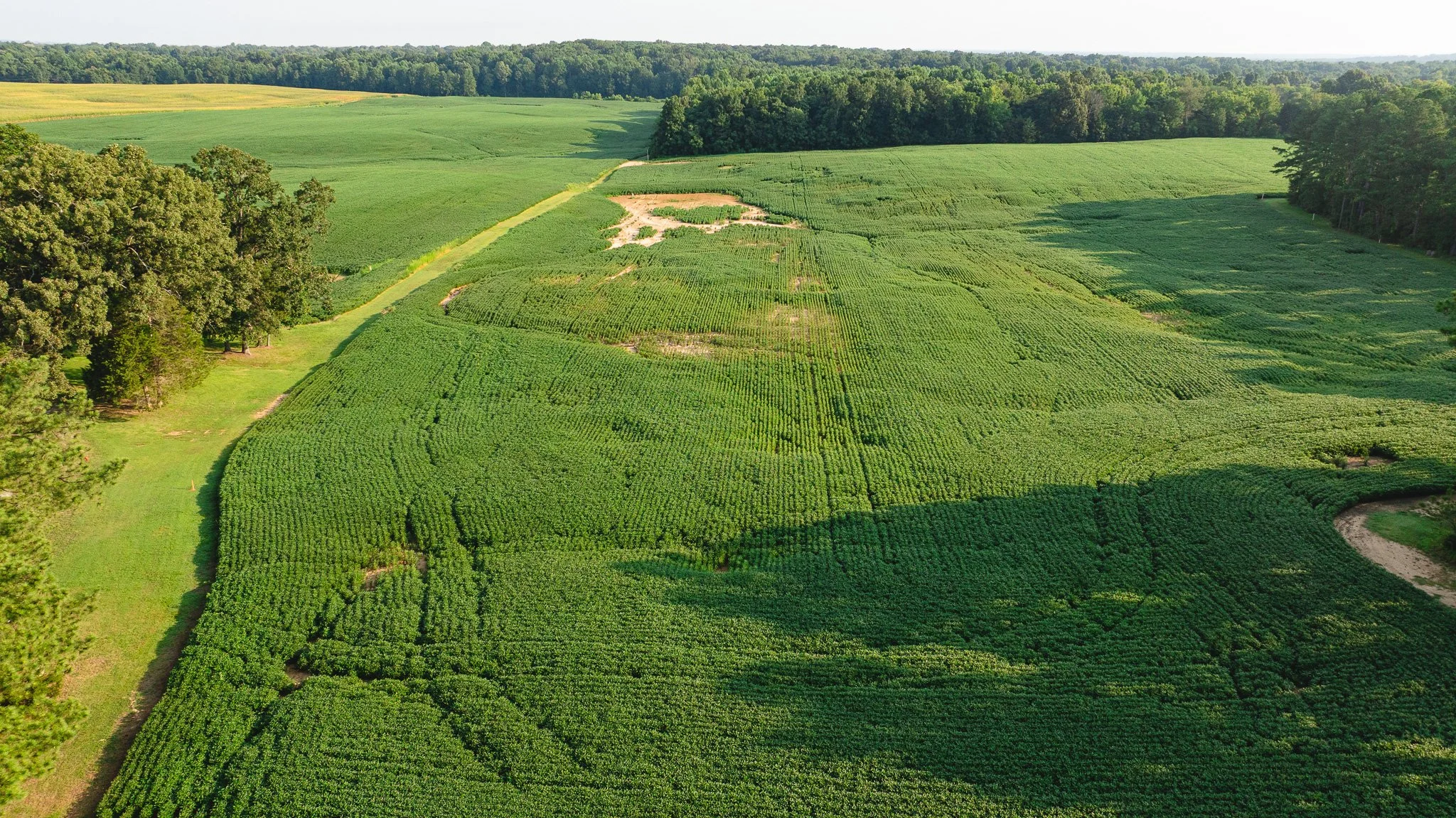 DJI_20260804152055_0067_D.jpg