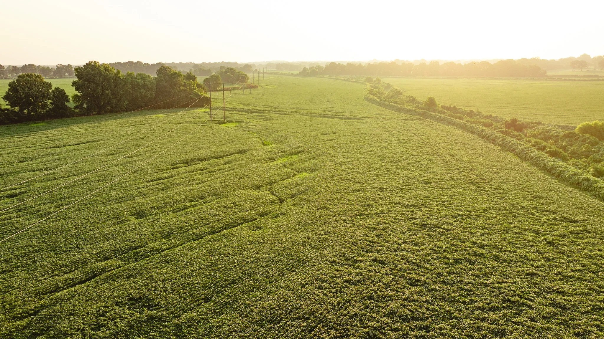 DJI_20260726141440_0064_D.jpg