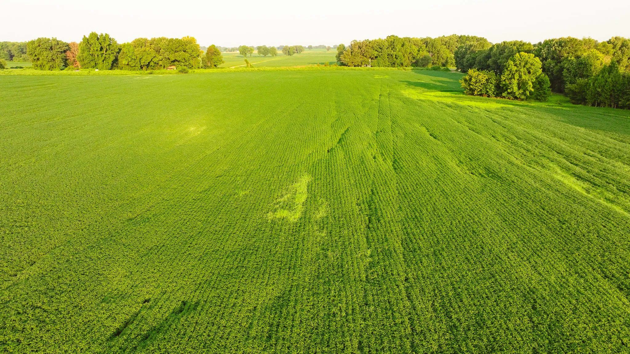 DJI_20260726141418_0063_D.jpg