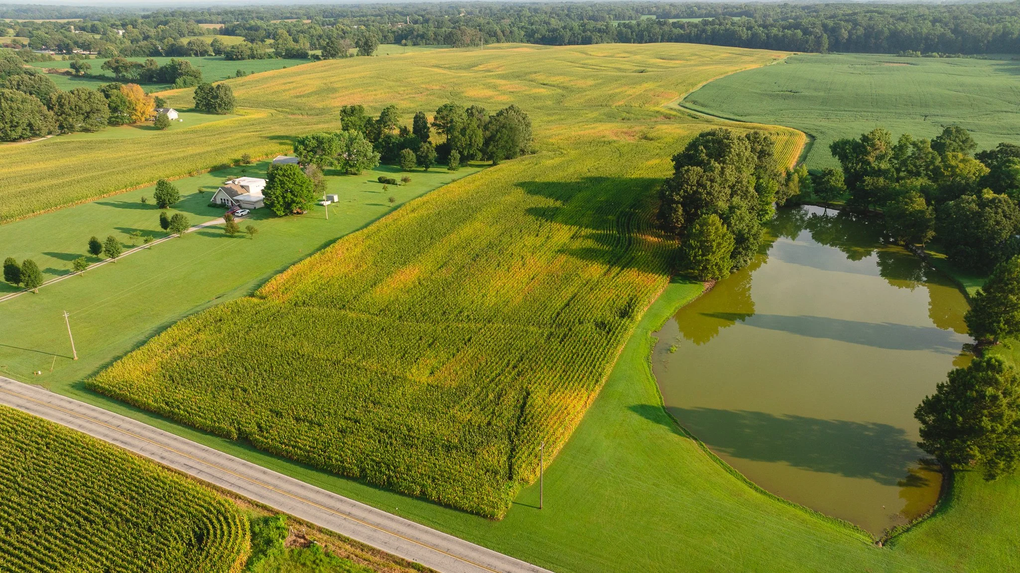 DJI_20260804150456_0024_D.jpg