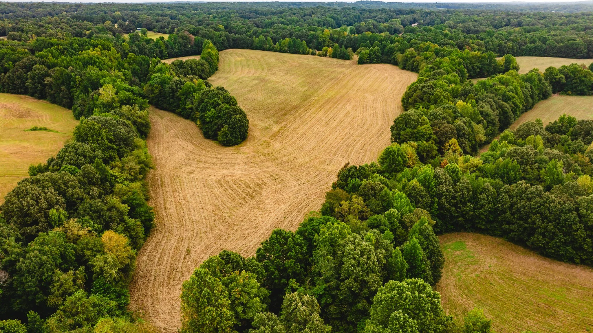 DJI_20260817171429_0007_D.jpg