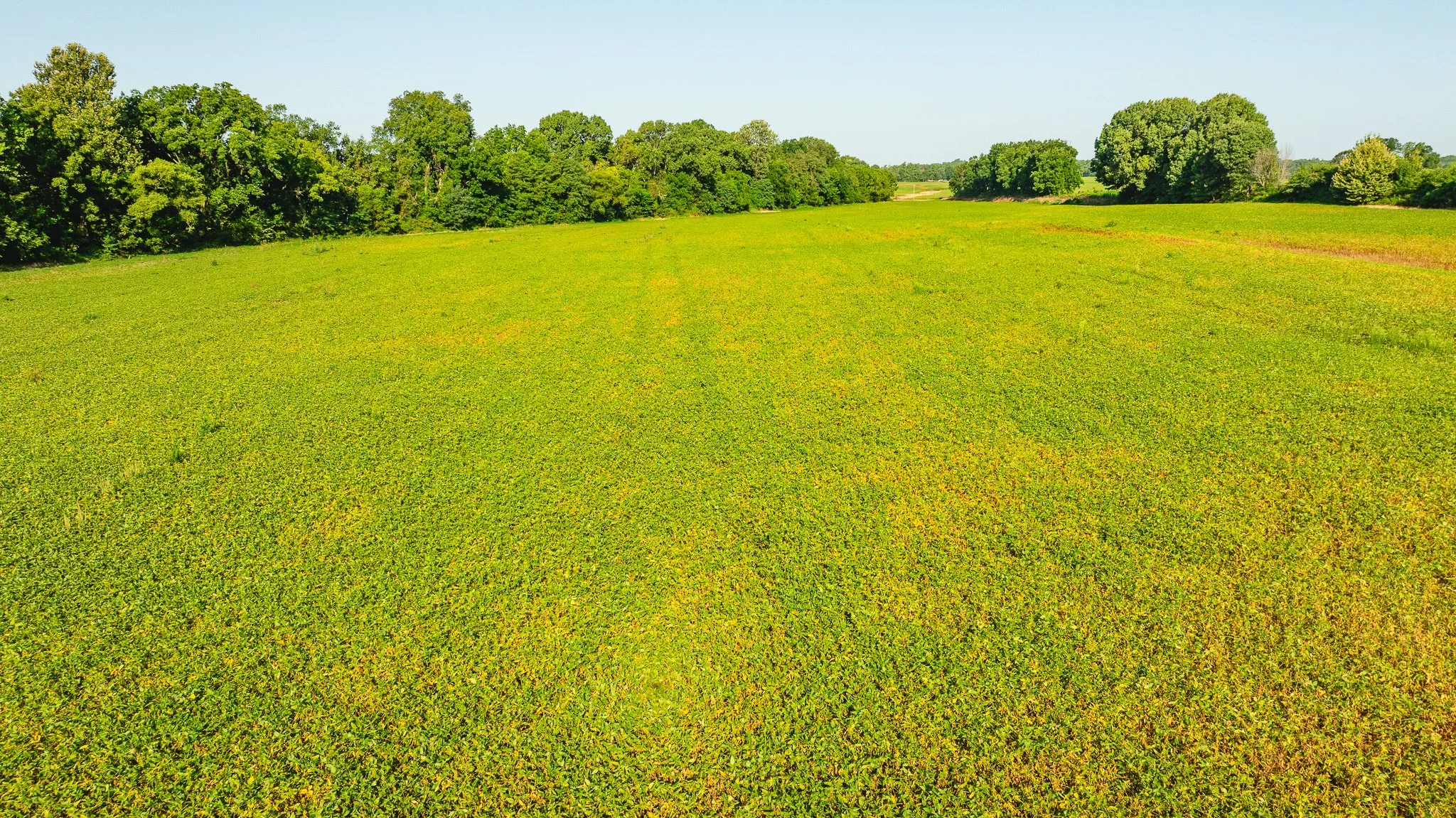 DJI_20260810155407_0037_D.jpg