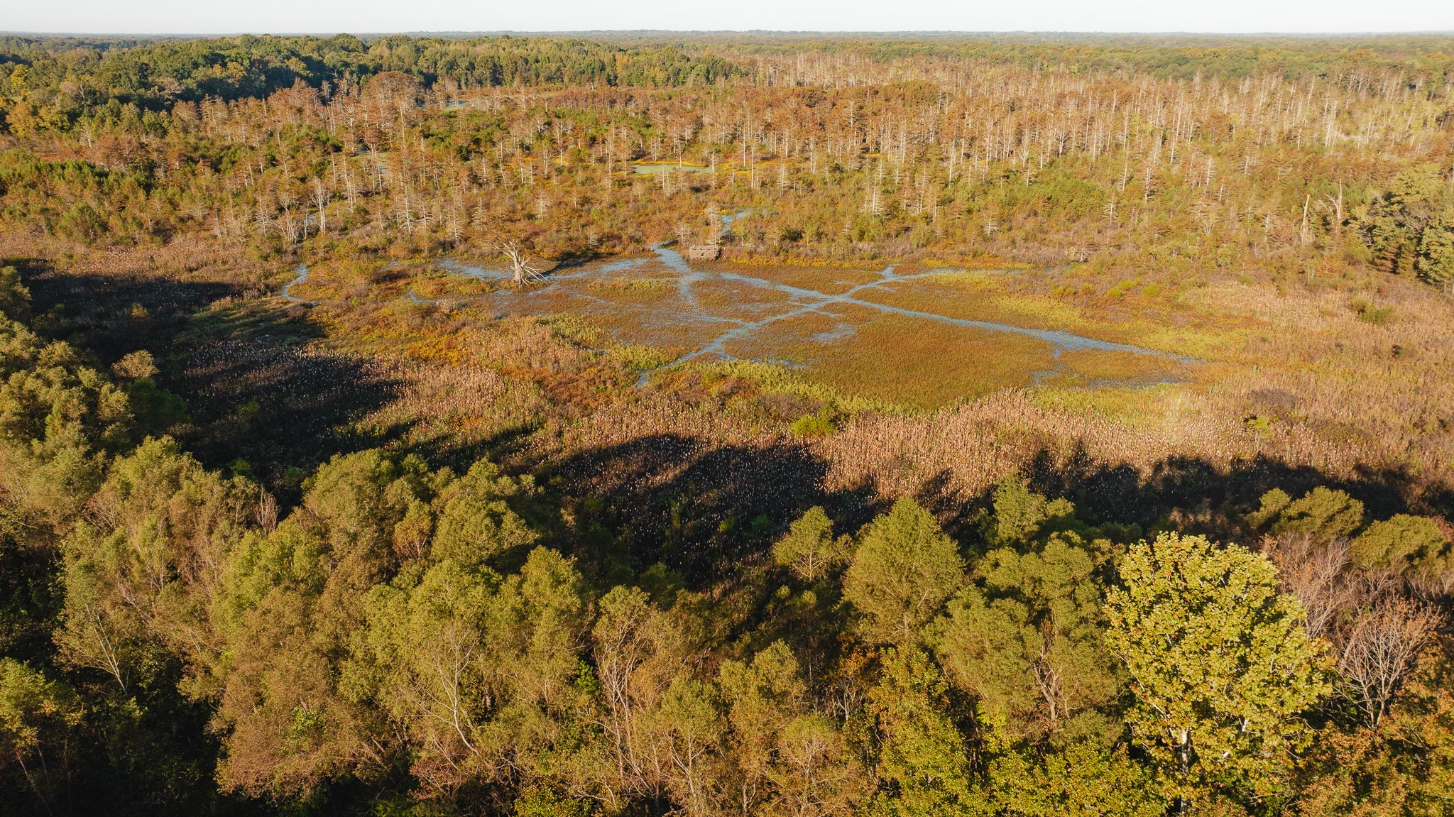 DJI_20261018154255_0005_D.jpg