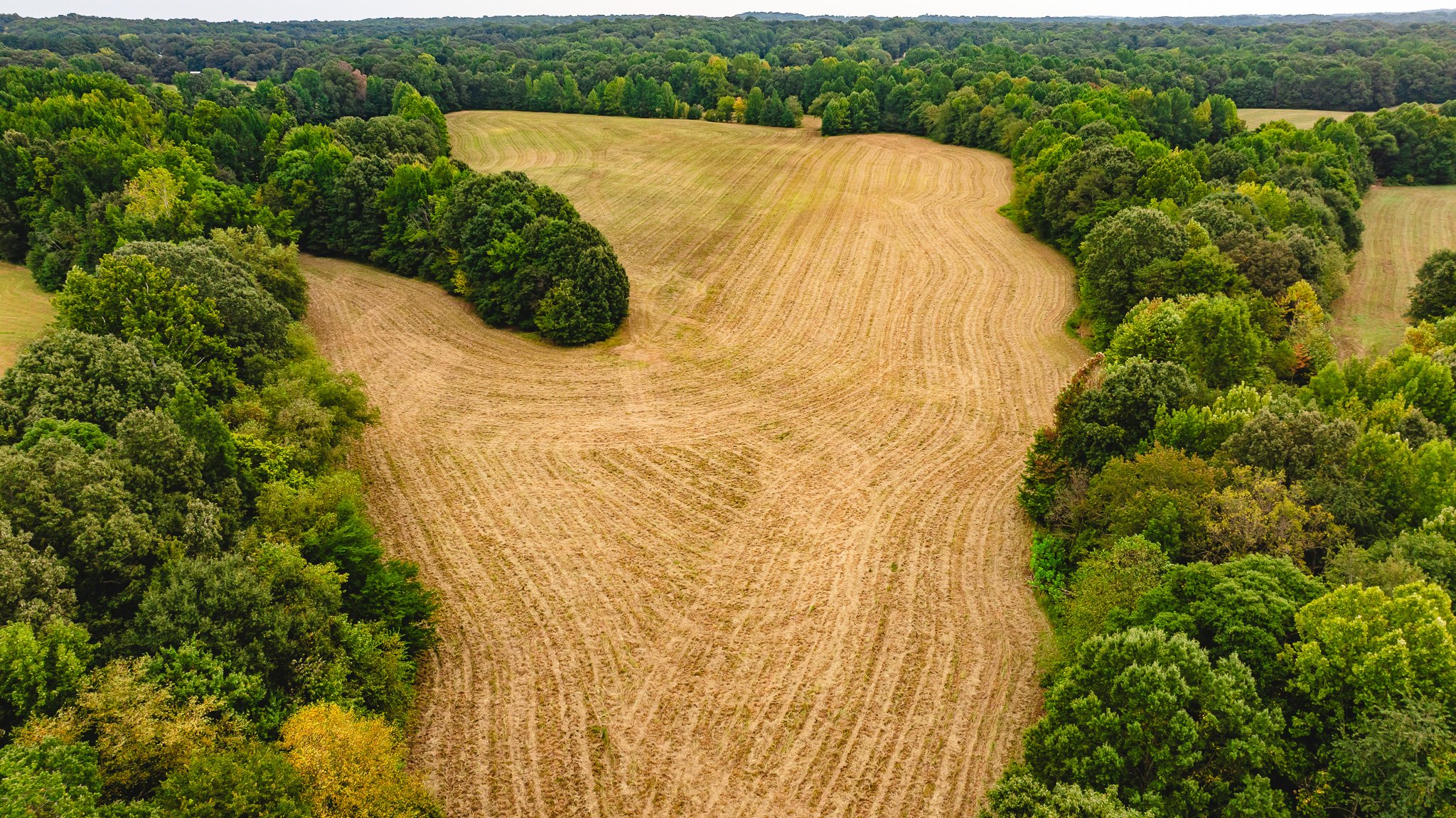 DJI_20260817171438_0008_D.jpg