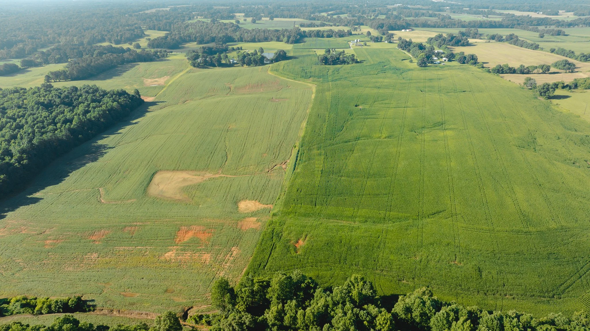 DJI_20260621152447_0040_D.jpg