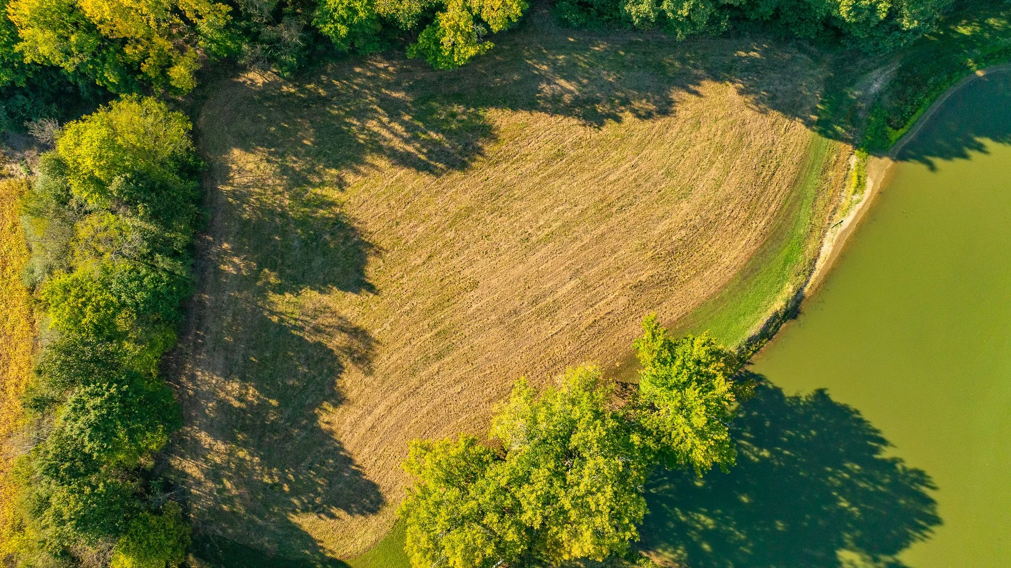 DJI_20260929161419_0113_D.jpg