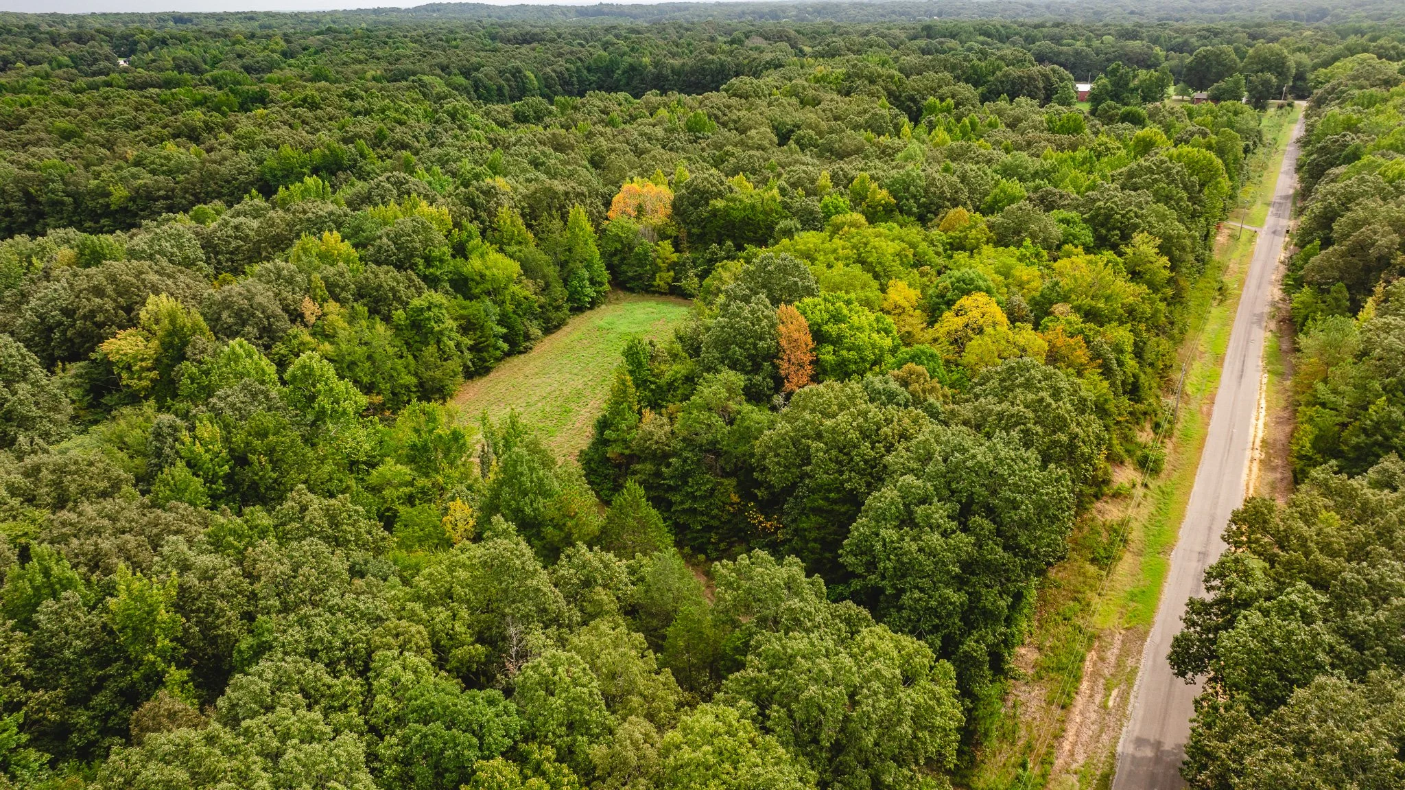 DJI_20260817174305_0066_D.jpg