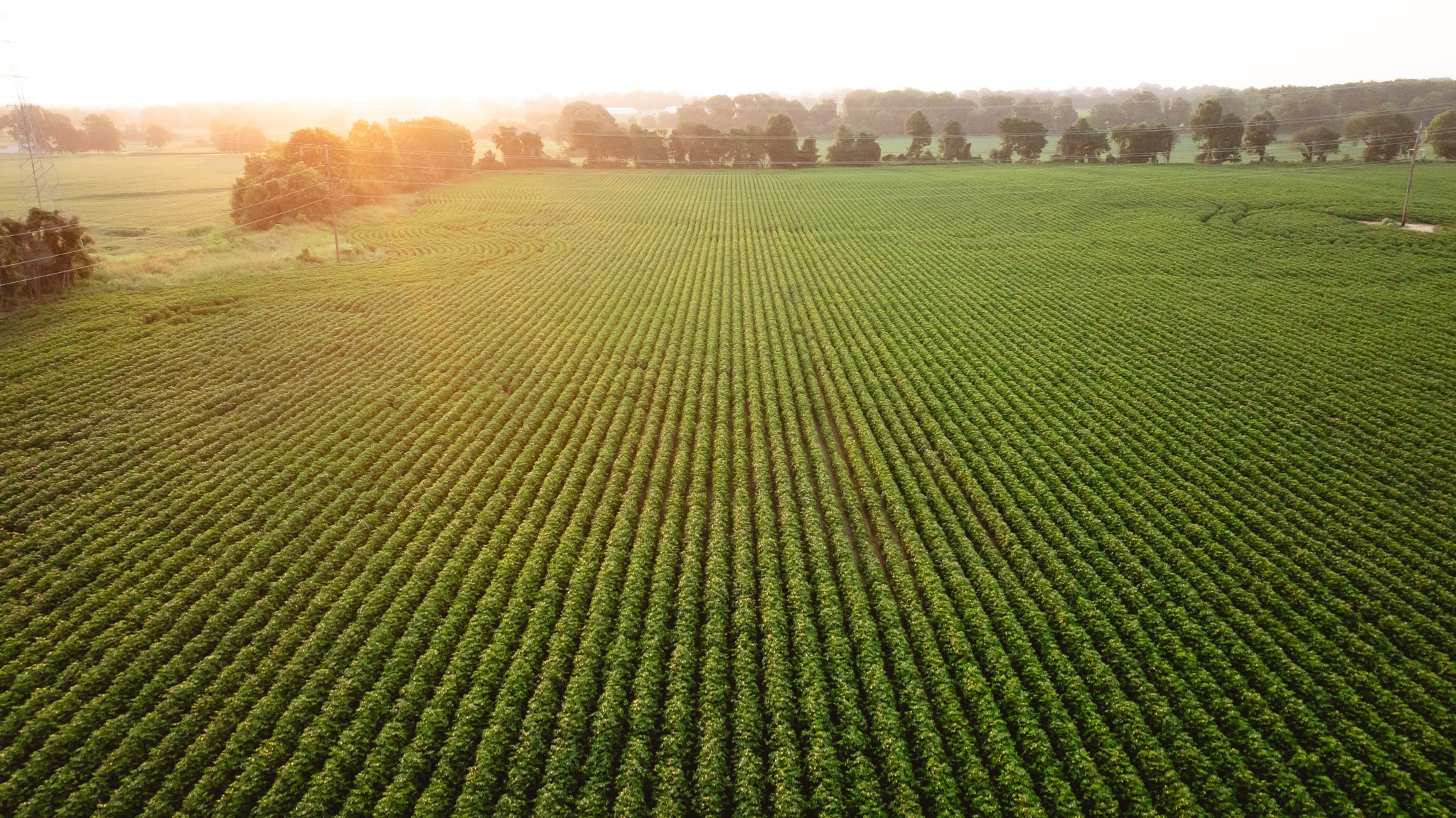 DJI_20260726134618_0013_D.jpg