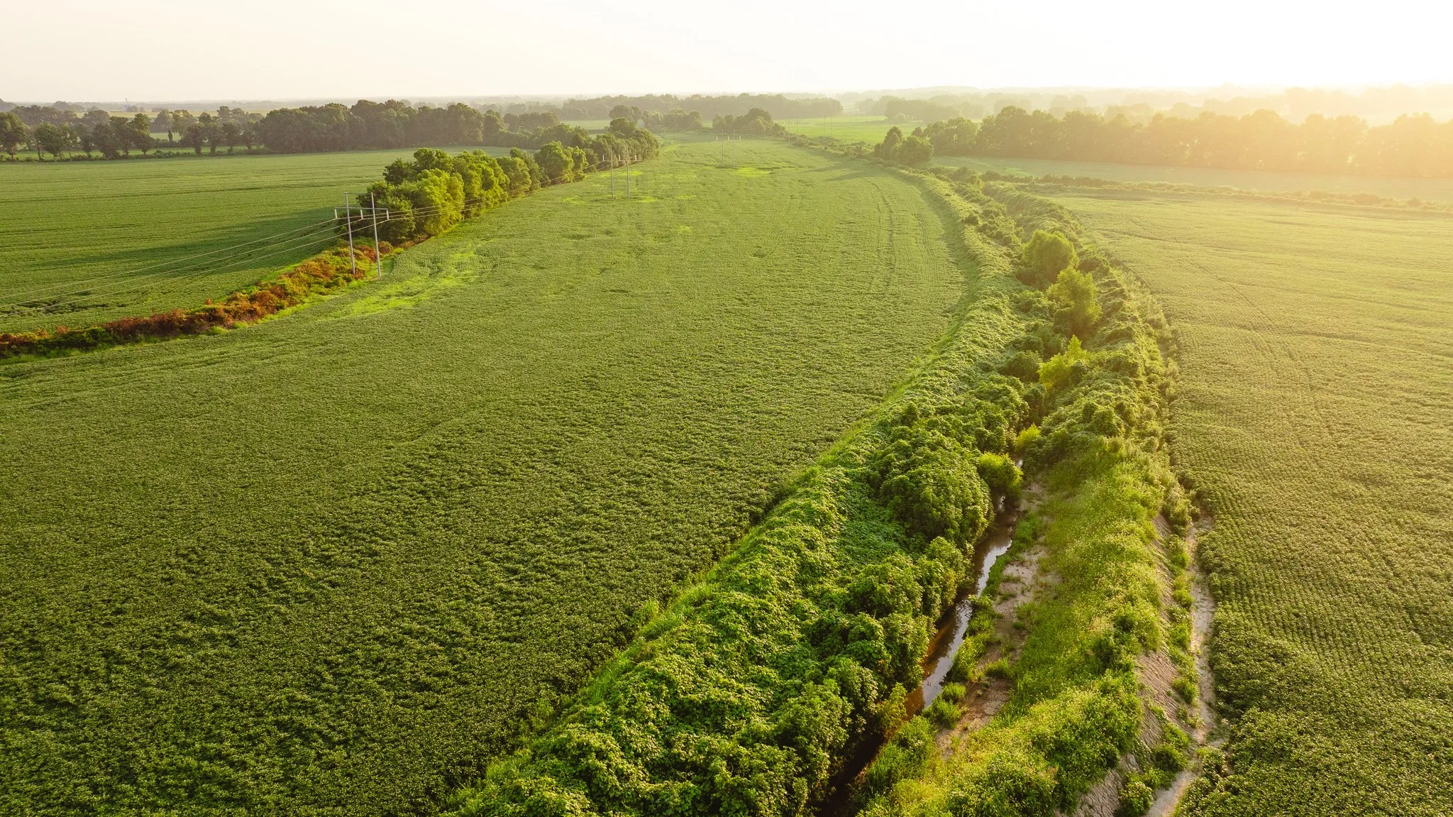 DJI_20260726141528_0066_D.jpg