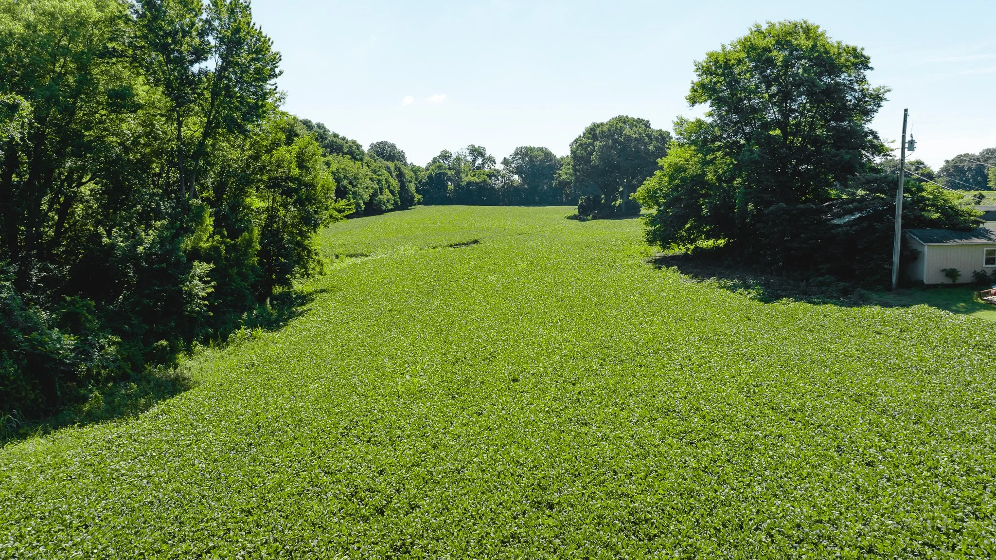 DJI_20260614170250_0012_D.jpg