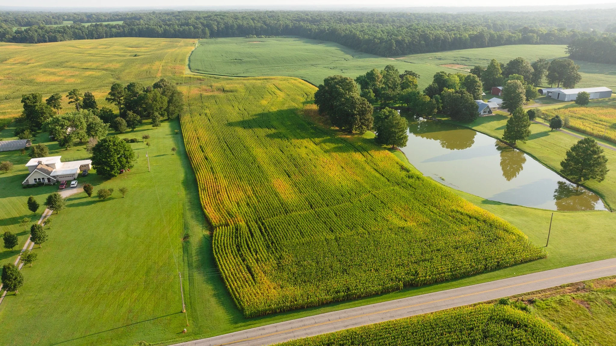 DJI_20260804150511_0025_D.jpg