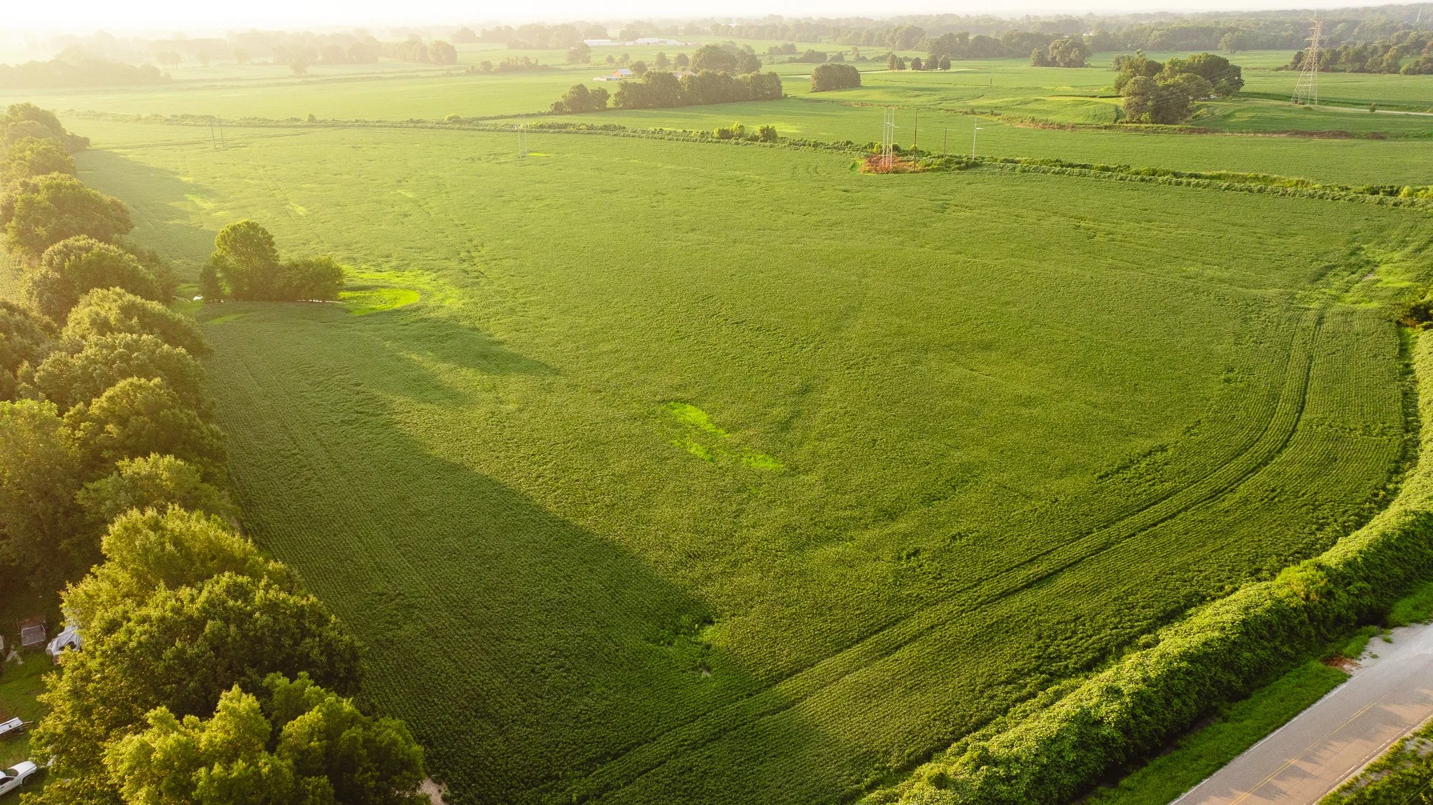 DJI_20260726141242_0058_D.jpg