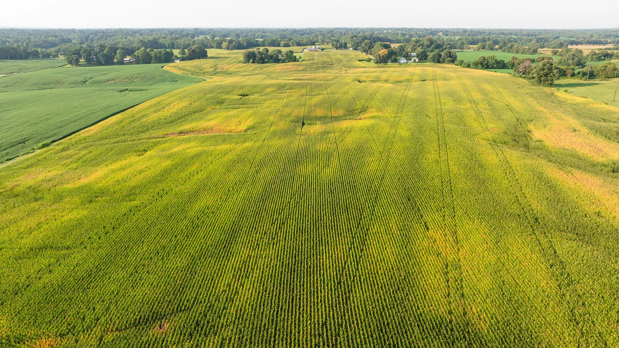 DJI_20260804151820_0059_D.jpg