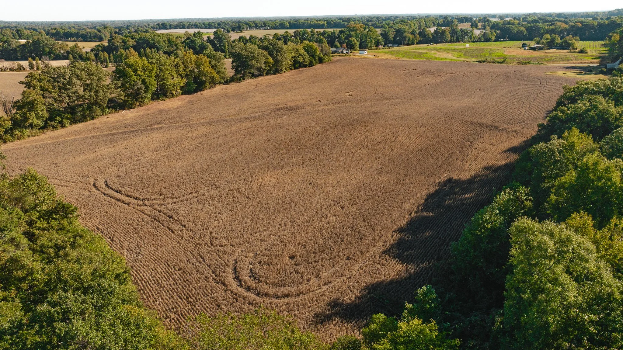 dji_fly_20261018_163914_0099_1792519572934_photo.jpg