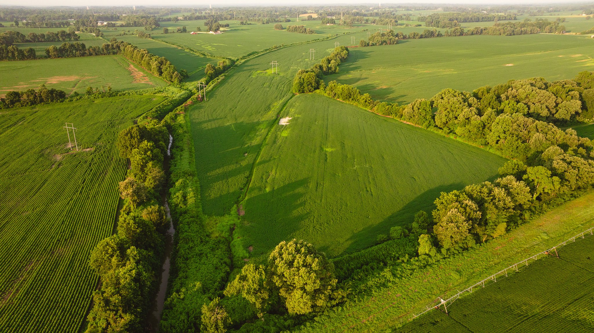 DJI_20260726141656_0069_D.jpg
