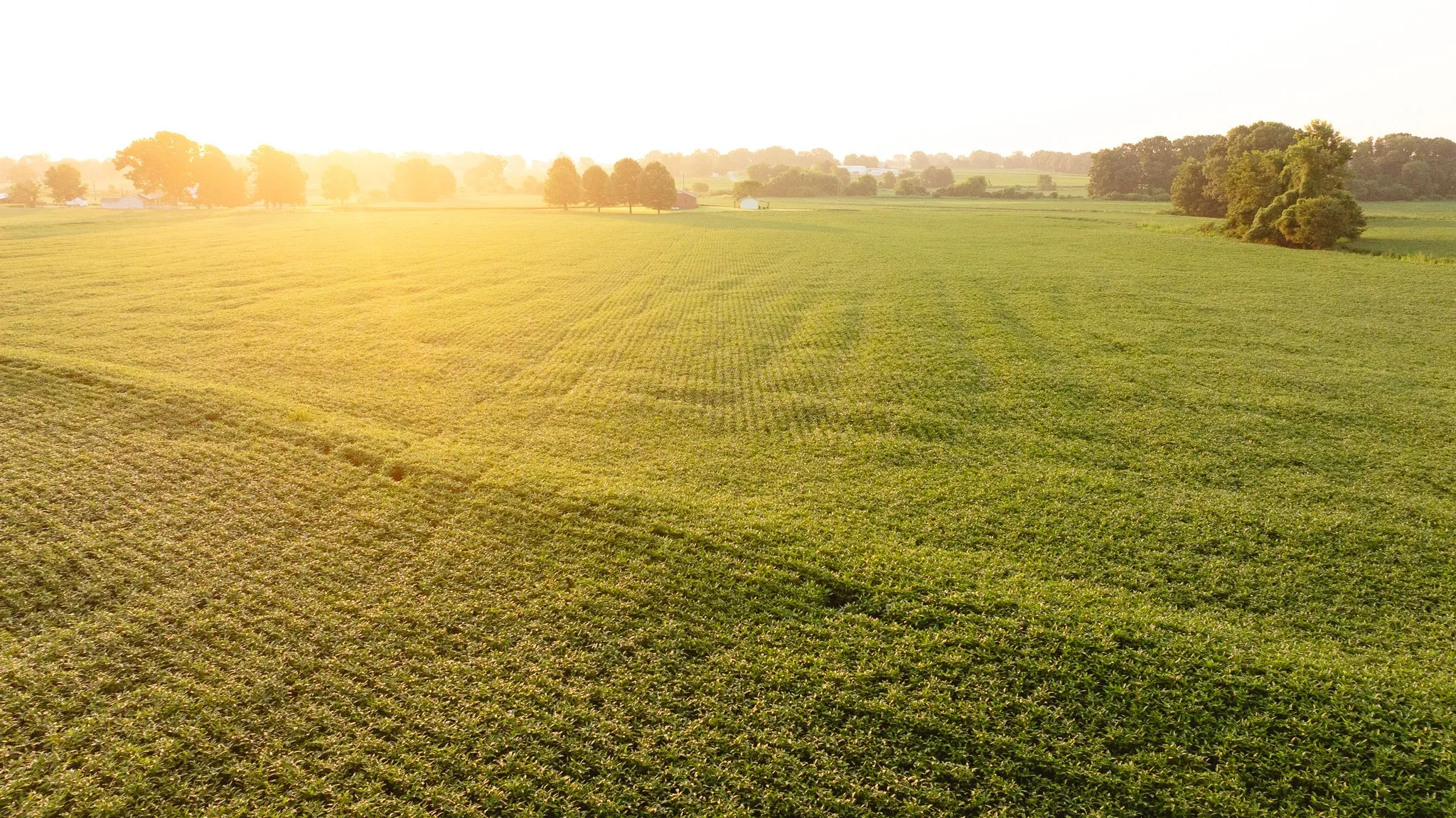 DJI_20260726135603_0030_D.jpg