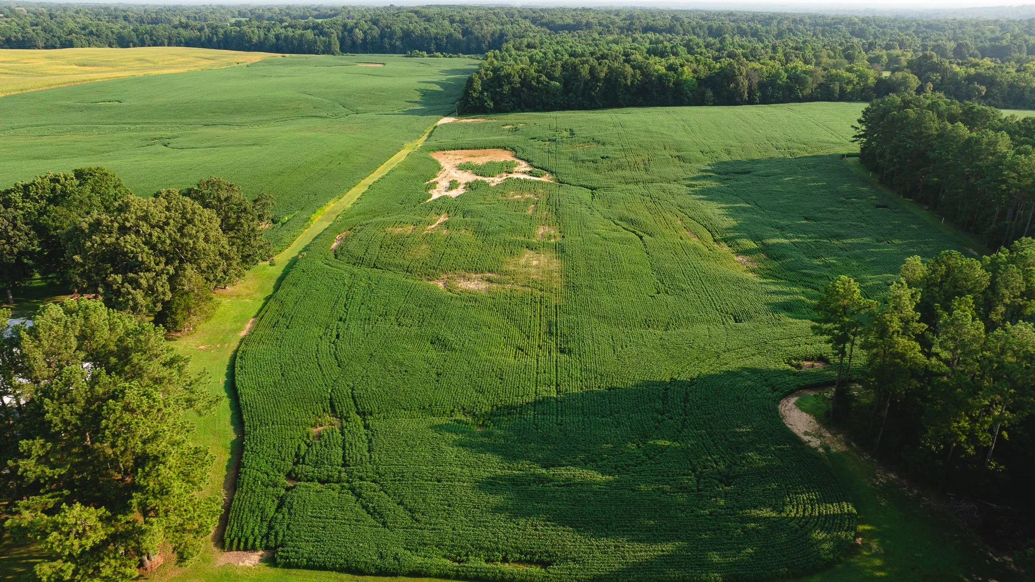 DJI_20260804152103_0068_D.jpg