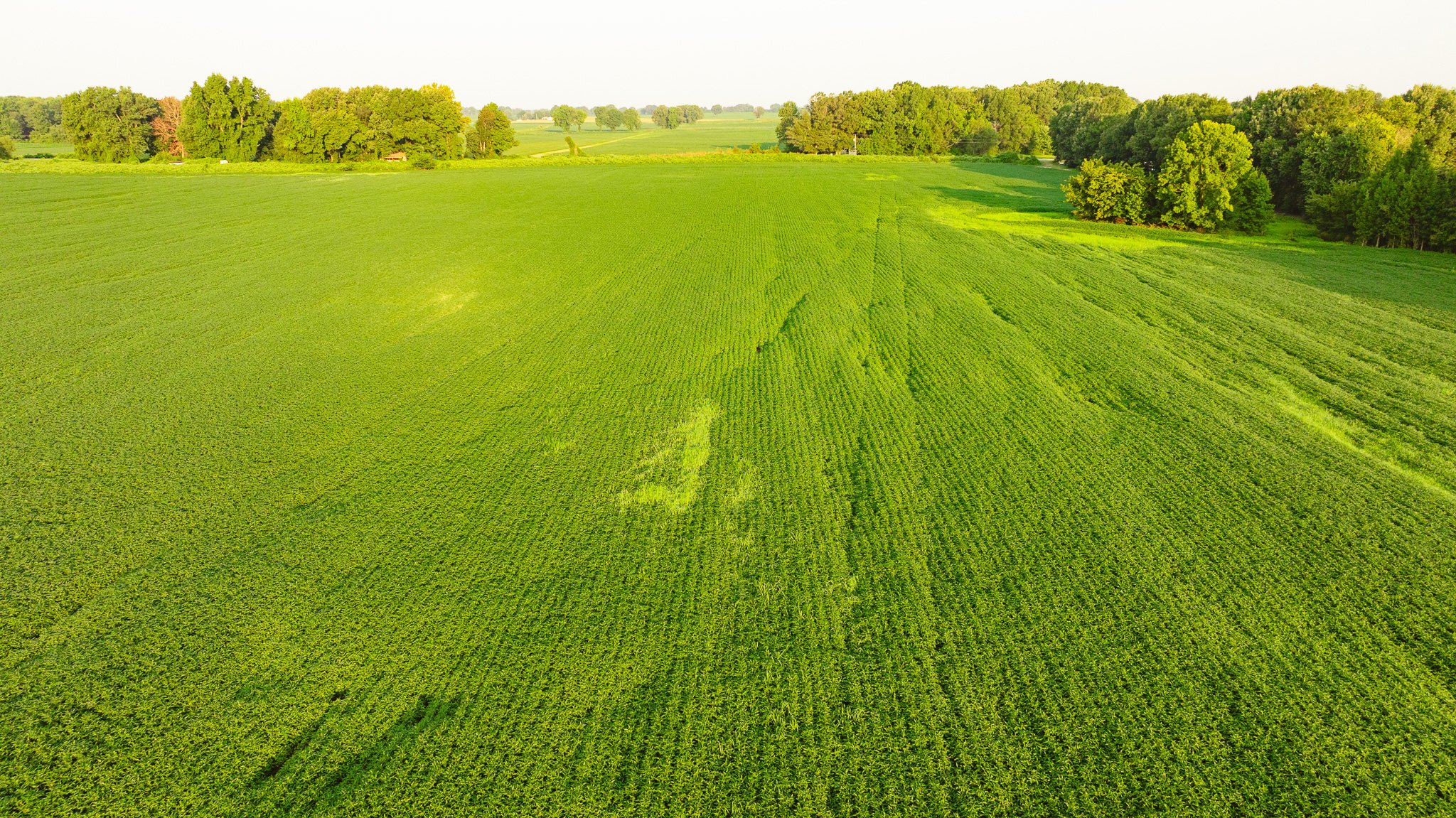 DJI_20260726141418_0063_D.jpg