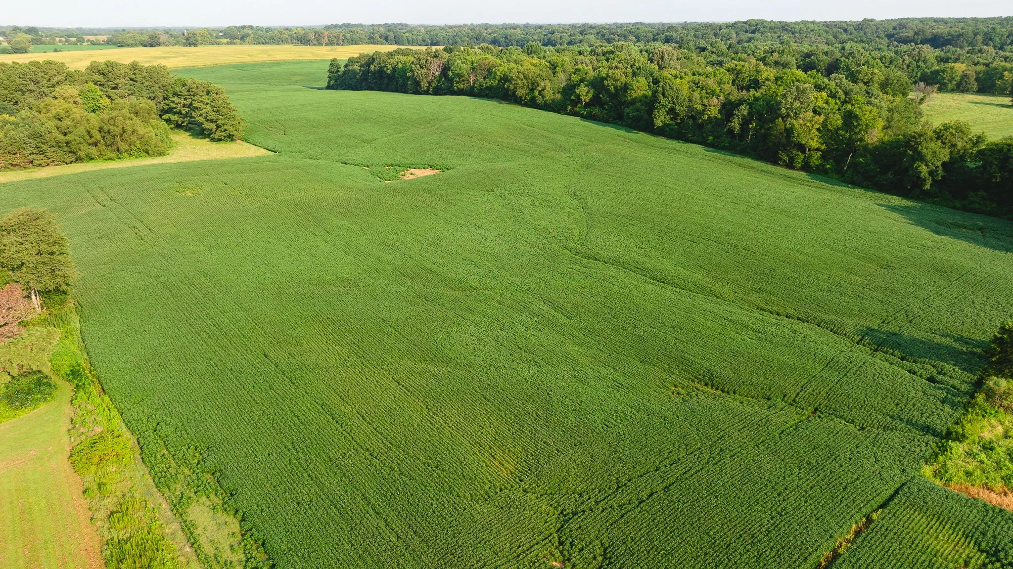 DJI_20260804152236_0074_D.jpg
