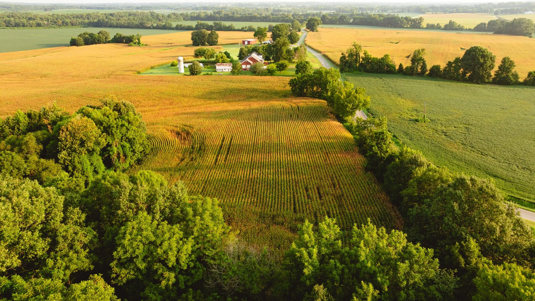 DJI_20260729143323_0039_D.jpg