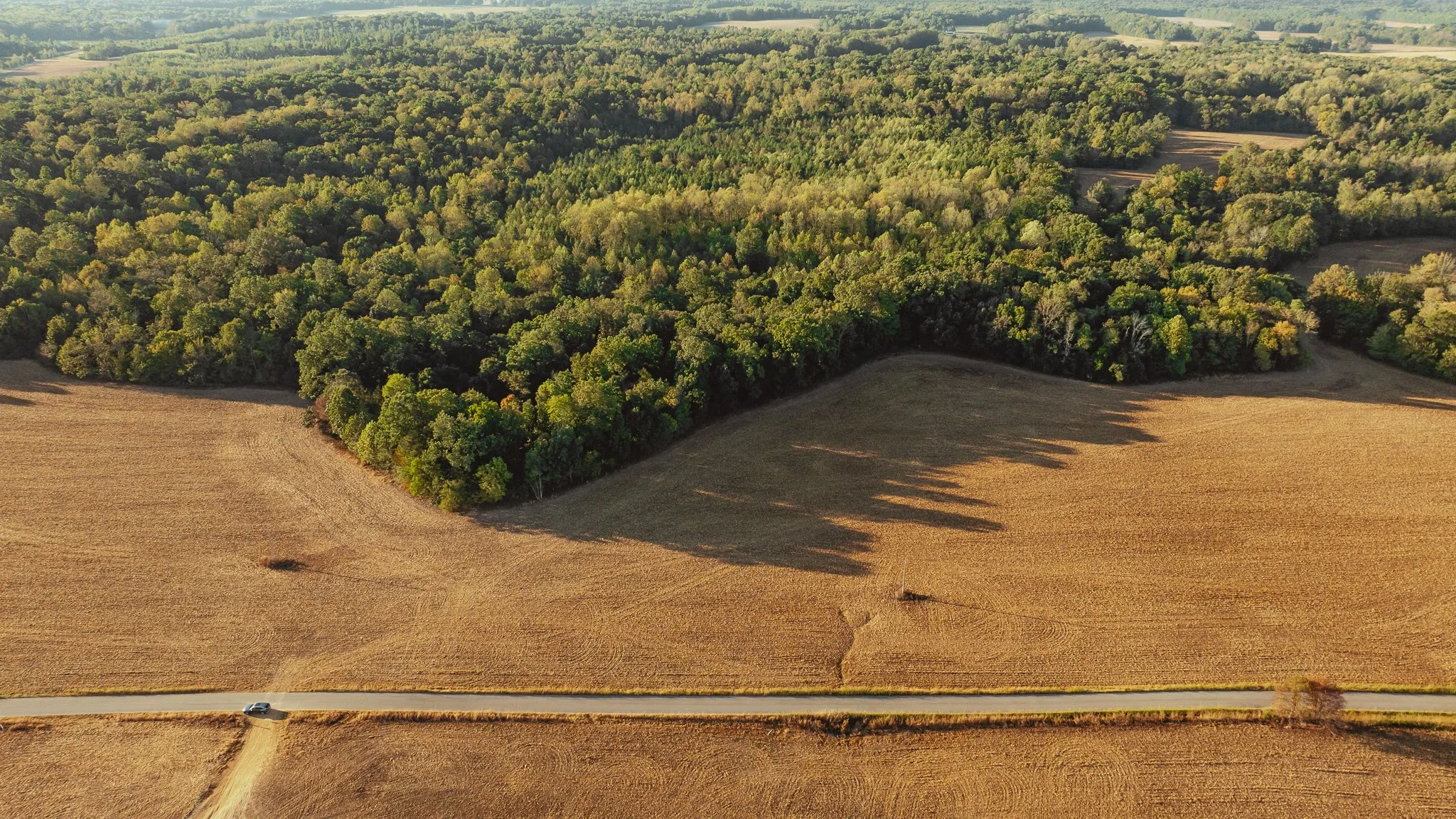 DJI_20261007150335_0009_D.jpg