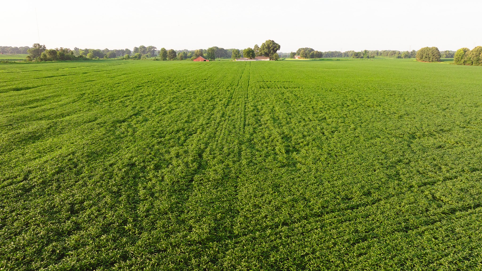 DJI_20260726141935_0080_D.jpg