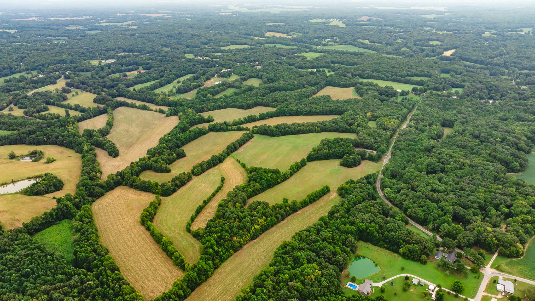 DJI_20260817171118_0001_D-2.jpg