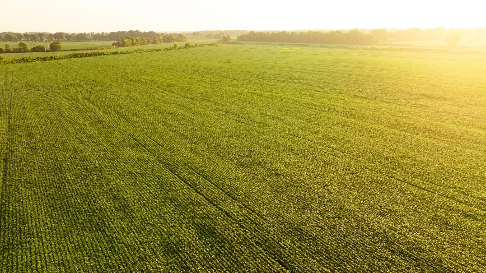 DJI_20260726140913_0054_D.jpg