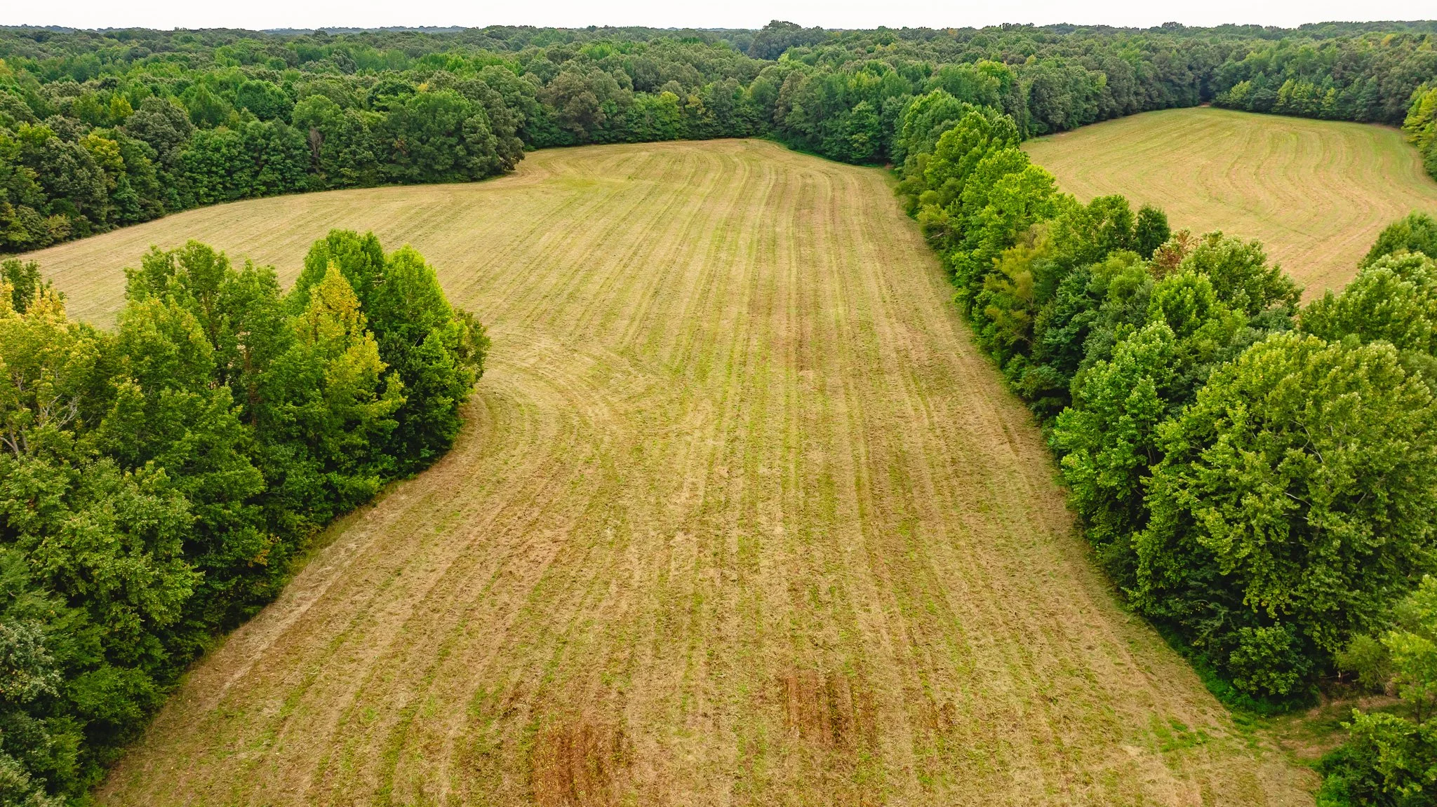 DJI_20260817171859_0018_D.jpg
