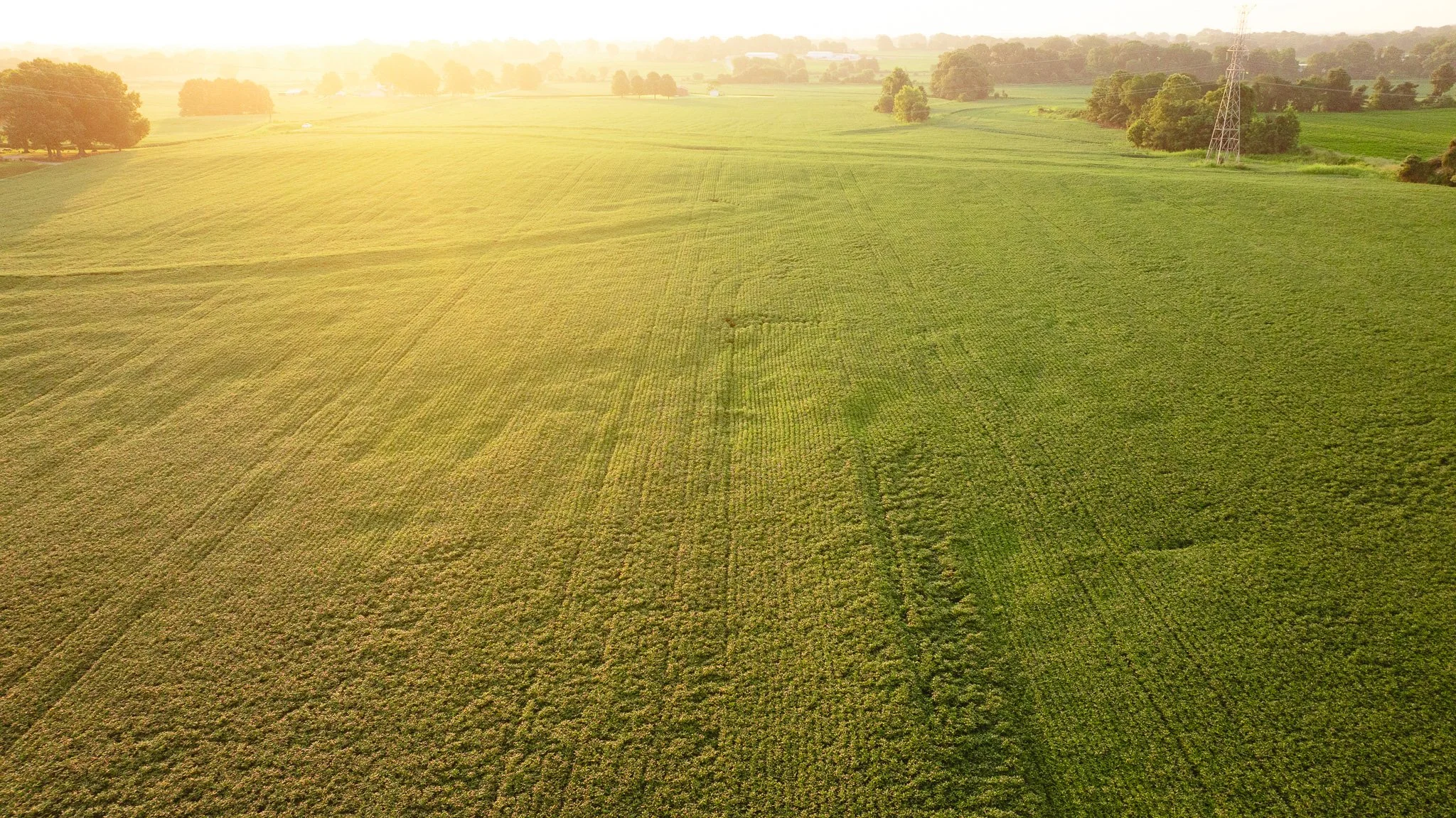 DJI_20260726135814_0033_D.jpg